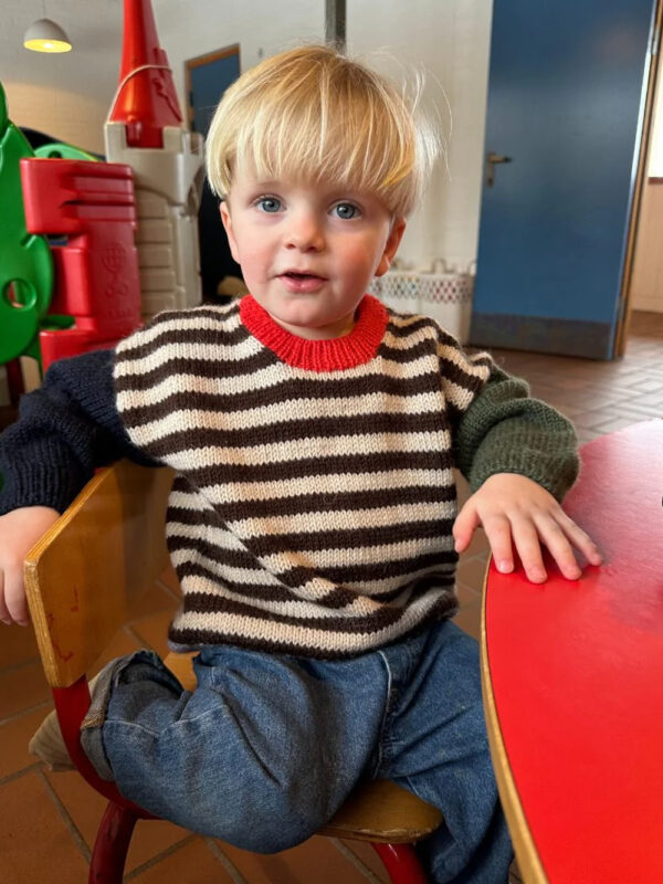 PetiteKnit Holger Sweater