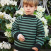 South Sweater Junior - Smart